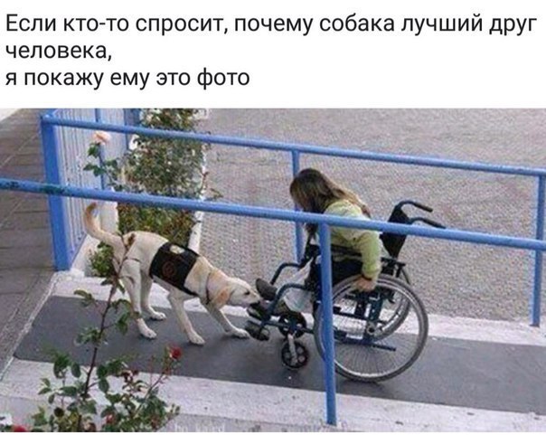  - 10  2015  01:17