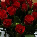 ���� Irina, ����������� - ��������� 17 ������� 2015 � ������ ����� 3�