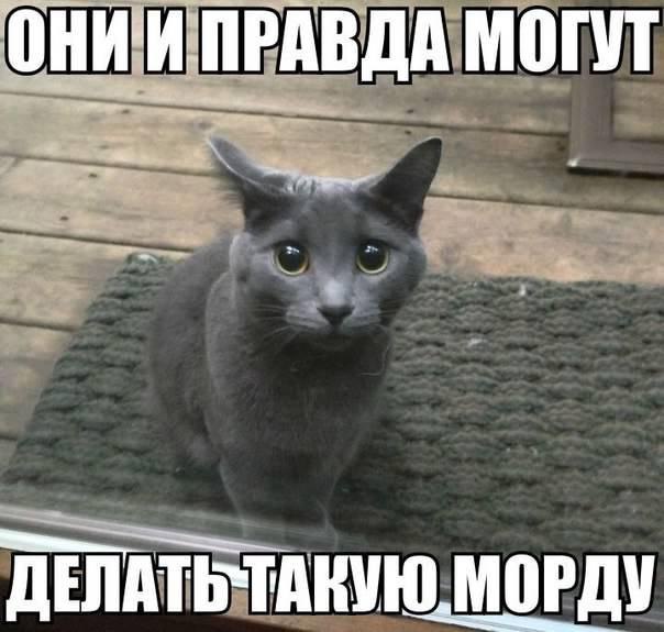    - 5  2016  07:12