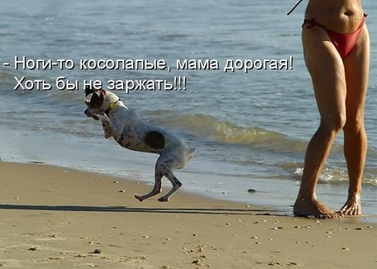 ***Victoria Viktorovna*** - 27  2015  16:16