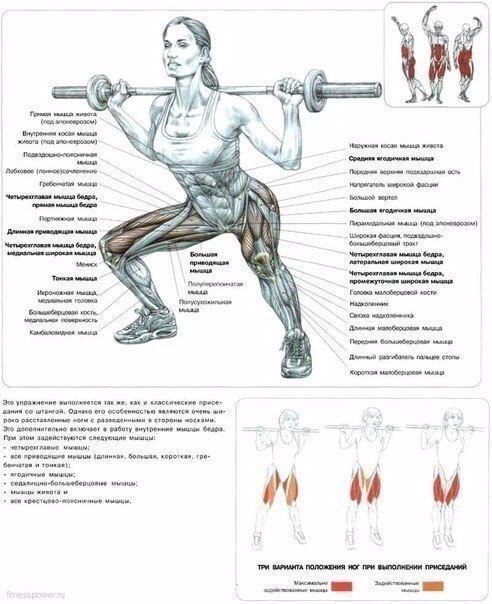  !    #@fitness.blog - 5