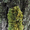 �������� �� ������� �������