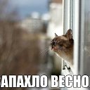  ,  -  1  2016    