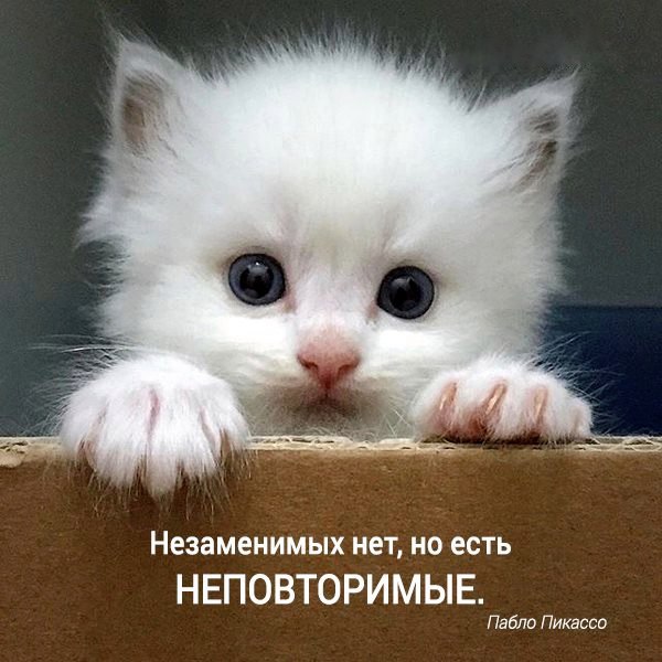      - 2  2016  16:07