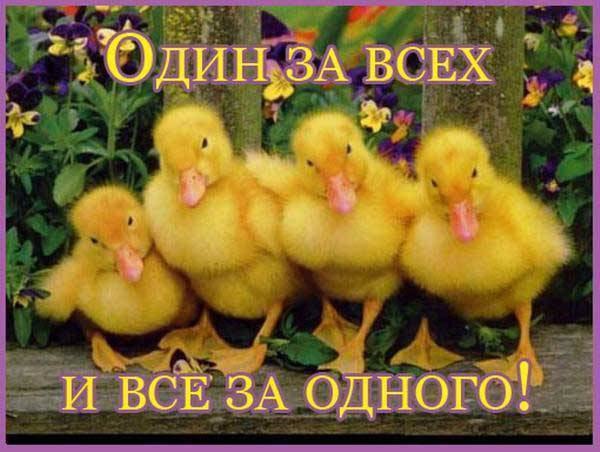   - 24  2015  18:33
