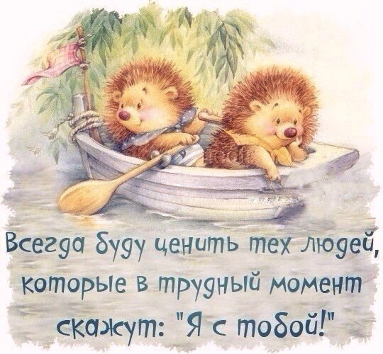   - 1  2016  23:55