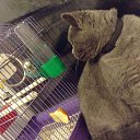 ��� ���� � ������� ���� �� ������� �������