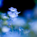 ���� ����, ������, 44 ���� - ��������� 2 ������� 2015 � ������ ���� ����������