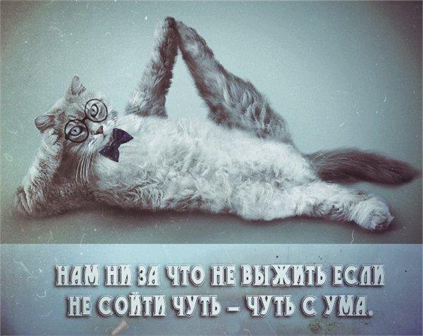   - 4  2015  15:33