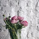 ���� ��������� ���������, ��������� - ��������� 26 ������ 2015 � ������ ���� ����������