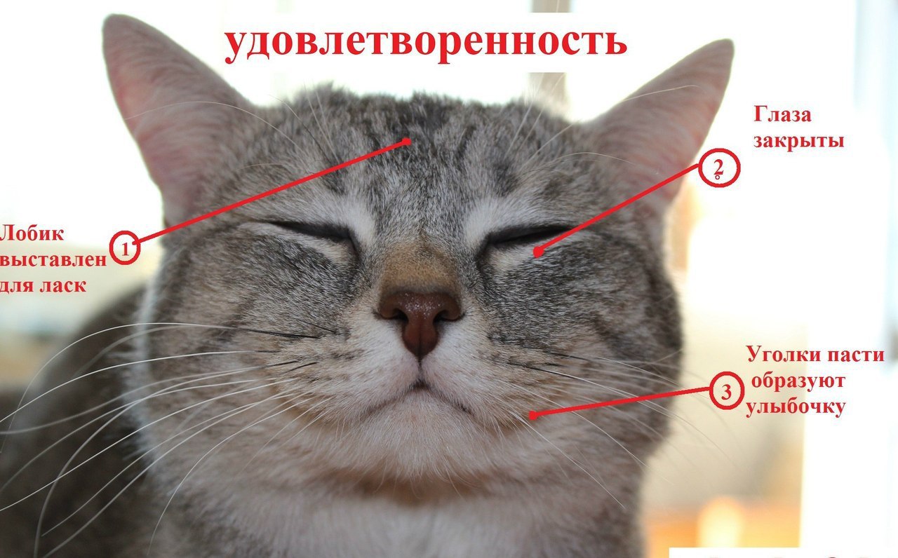    - 2