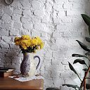 ���� ��������� ���������, ��������� - ��������� 26 ������ 2015 � ������ ���� ����������