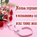 ���� �����, �������� - ��������� 6 ������� 2015 � ������ �������� ��������