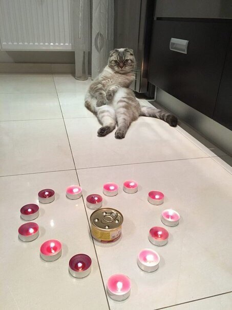 14     :