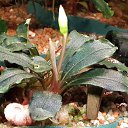 ���� ������, ������, 59 ��� - ��������� 21 ������� 2015 � ������ ���� ����������