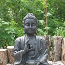 ���� ������, ����������, 54 ���� - ��������� 8 ����� 2016 � ������ ����� ������