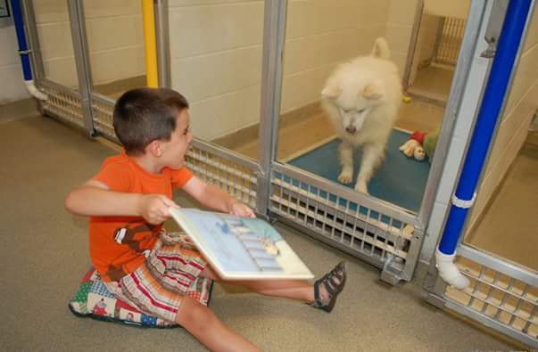    ,      .   Shelter Buddies  ... - 2