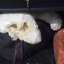 ���� ������, �����, 41 ��� - ��������� 9 ������� 2015 � ������ ������ ��������