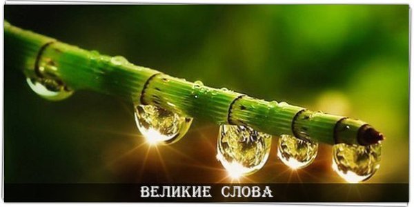Ум — тот же дом, где надо ежедневно прибираться, чтобы достичь гармонии и уюта, избавляясь при этом ...