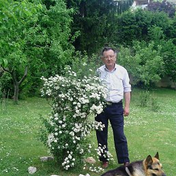 Ivica, 65, 