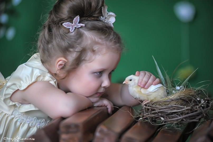   - 9  2016  23:14 - 2