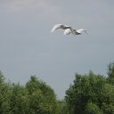 ���� ��������, ���������, 53 ���� - ��������� 6 ������� 2016 � ������ ���� ����������