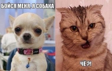 ***Victoria Viktorovna*** - 14  2016  17:48
