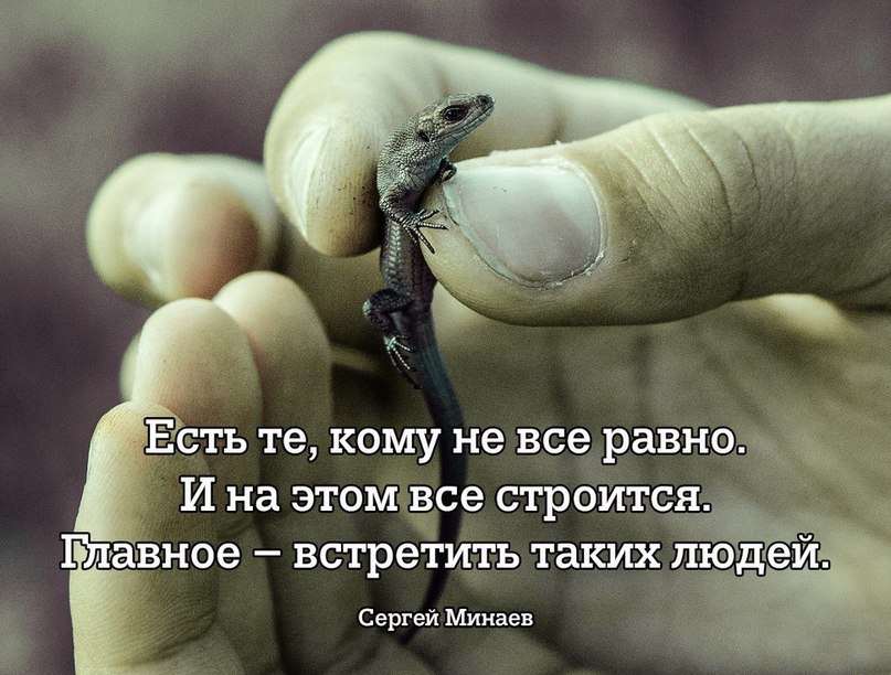   - 25  2015  20:22