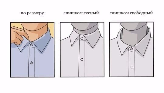 Как должна сидеть мужская рубашка.На первый взгляд, вопрос кажется очевидным — но это лишь на первый ... - 2
