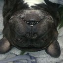 ���� �������, ����, 67 ��� - ��������� 7 ������ 2016 � ������ ���� ����������