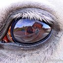 ���� �����, ��� - ��������� 10 ������� 2015 � ������ ���� ����������