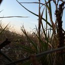  ,  -  24  2015   20.11.2015.