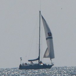 ������, �����-���������, 51 ���