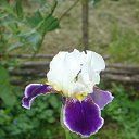 ���� �������, ��������, 66 ��� - ��������� 24 ������� 2015 � ������ ���� ����������