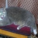 ���� �����, ��������, 60 ��� - ��������� 28 ������� 2016 � ������ ���� ����������