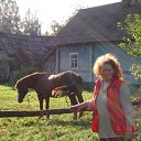 ���� ��������, �����-��������� - ��������� 3 ������ 2016 � ������ ���� ����������