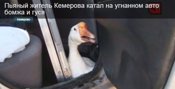 ,    .)))