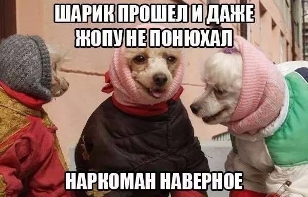   - 28  2015  13:04