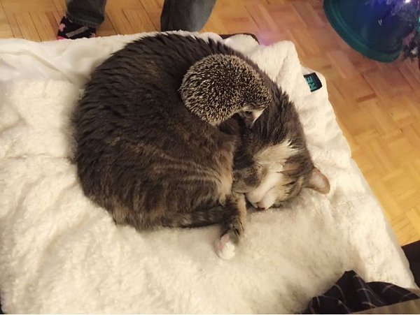   :3