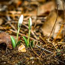 ���� Andrey, �������� - ��������� 28 �������� 2015 � ������ ������ ��������