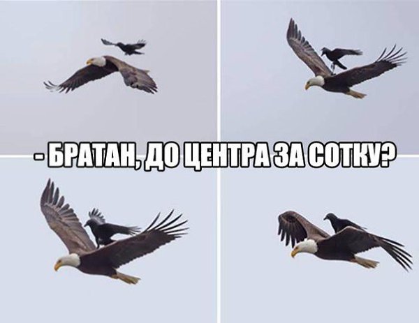 Приглашаю в группу,где море позитива: fotostrana.ru/prikolyzikfun/
