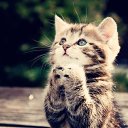 ���� ���������, ������ - ��������� 26 ������ 2016 � ������ ���� ����������