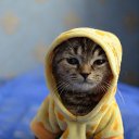���� ˸��, ������, 43 ���� - ��������� 26 ������ 2016