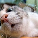 ���� ���, ���������, 42 ���� - ��������� 22 ������� 2015 � ������ ���� ����������