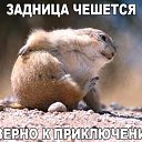 ���� ��� �?, �����-���������, 53 ���� - ��������� 25 ������� 2015 � ������ ������ ��������