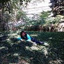 ���� �������, ������ - ��������� 20 ������� 2015 � ������ ���� ����������