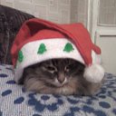 ���� �����, �������� - ��������� 17 ������� 2015 � ������ ���� ��������.�