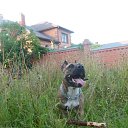 ���� �������, ����� - ��������� 10 ������ 2016 � ������ ���� ����������