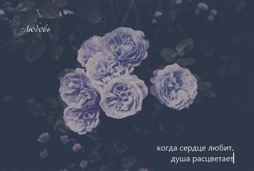 , , , ,  - 28  2015  14:35