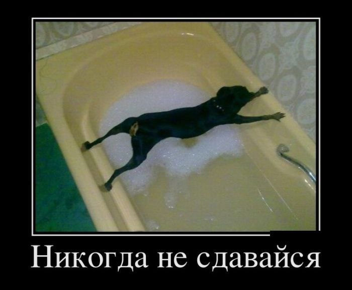   - 10  2016  20:56